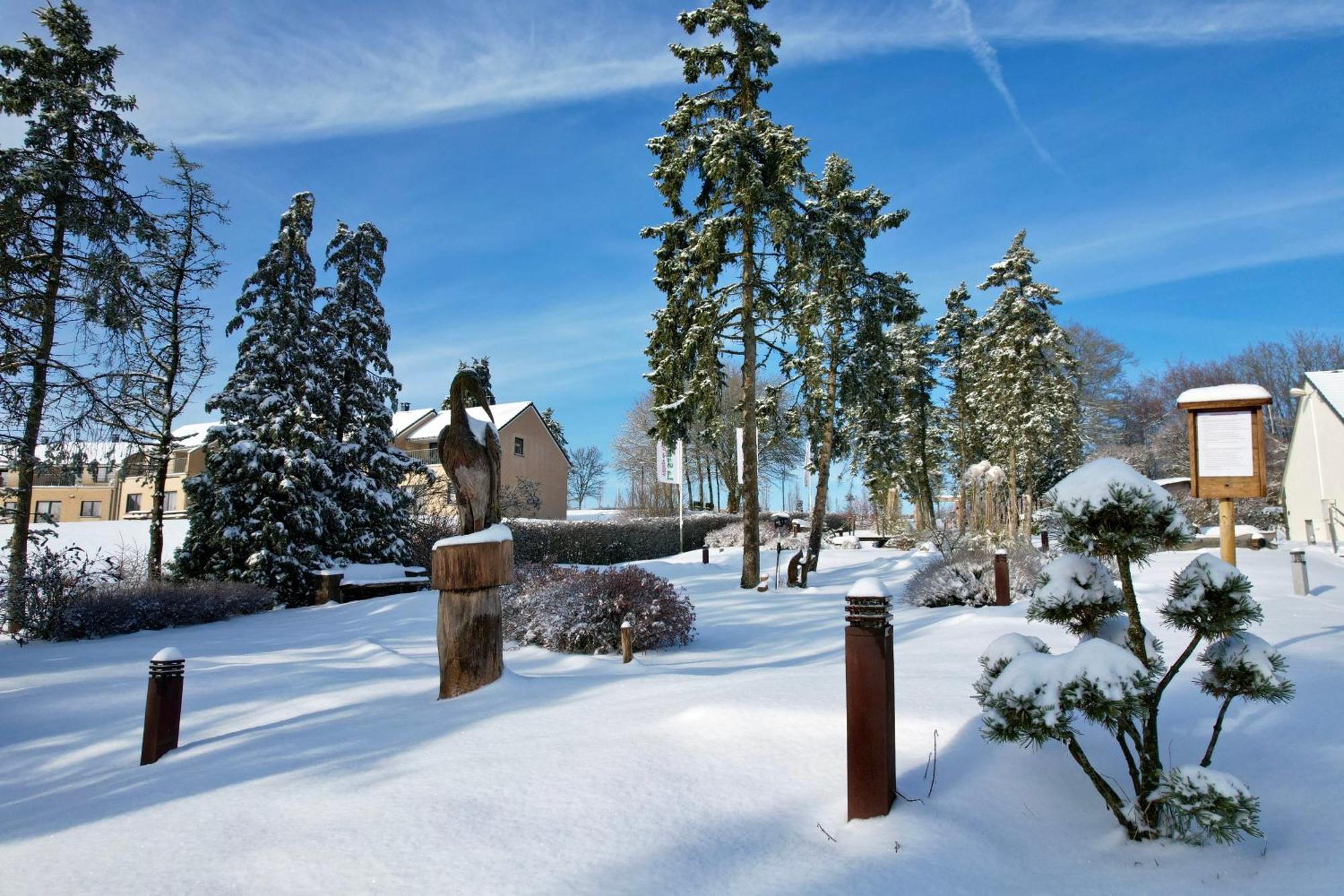 Holiday home La Sapiniere Hosingen